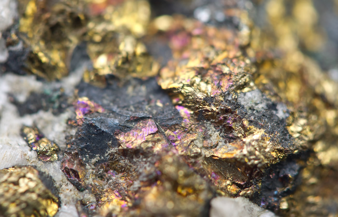 Toya Gold 